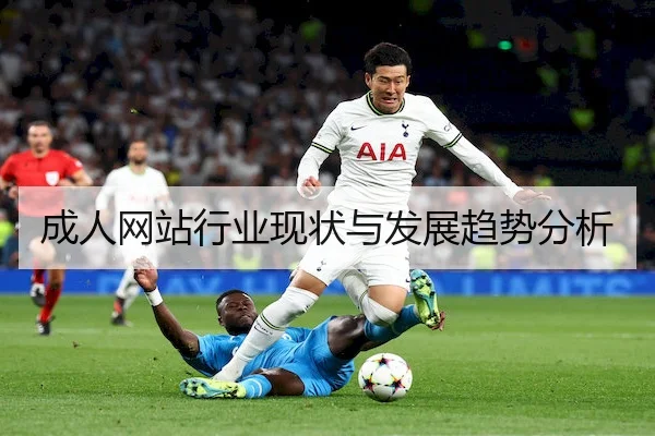成人网站行业现状与发展趋势分析
